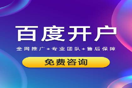 SEM运营公司案例解析：数据分析与优化